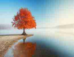 标﻿签​优​化​分‌析﻿